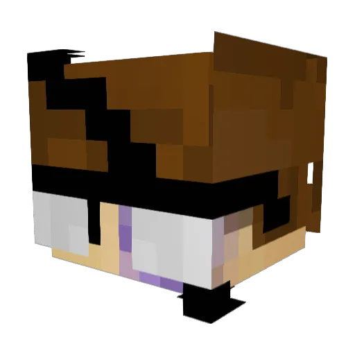 Mr_AverageGuy69 Minecraft avatar head, 3D render