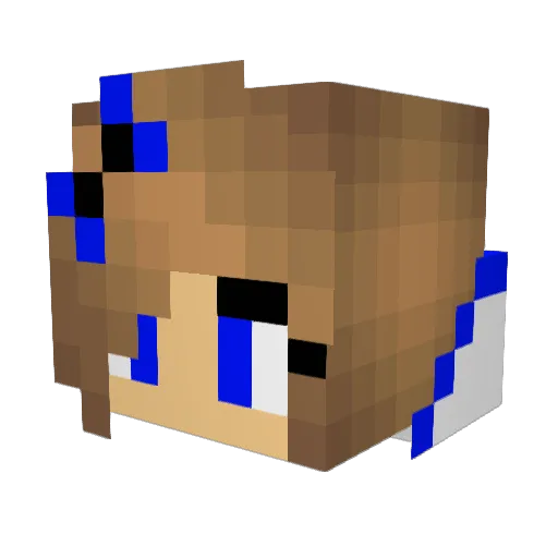 Mr_BLock99 Minecraft avatar head, 3D render
