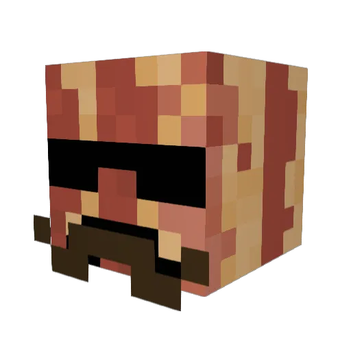 Mr_Baconn01 Minecraft avatar head, 3D render