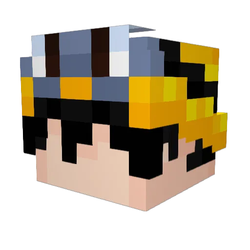 Mr_BarryCuda Minecraft avatar head, 3D render