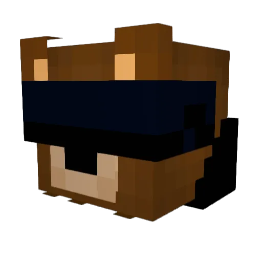 Mr_Bear88 Minecraft avatar head, 3D render