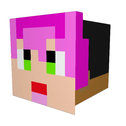 Mr_BountyHuntr Minecraft avatar head, 3D render