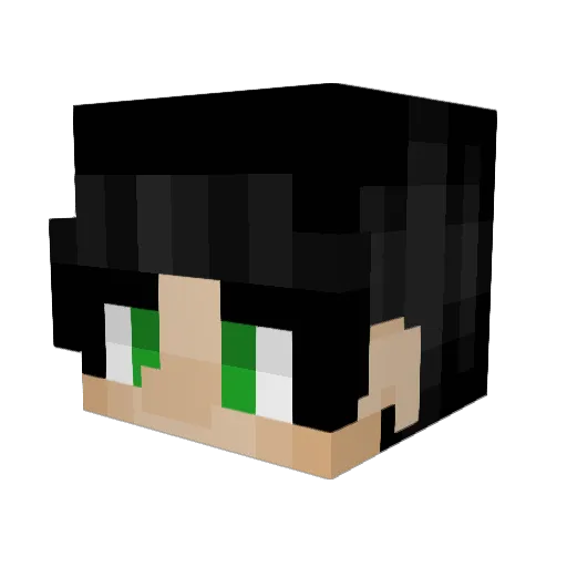 Mr_Bricky Minecraft avatar head, 3D render
