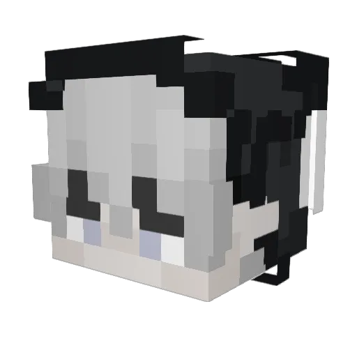 Mr_COOL_PATATAS Minecraft avatar head, 3D render