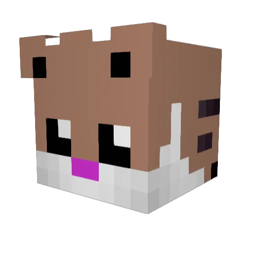 Mr_Cat_exe Minecraft avatar head, 3D render