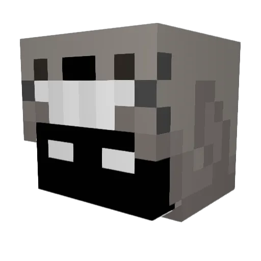 Mr_Catgamingyt Minecraft avatar head, 3D render
