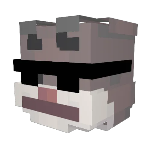 Mr_Chunguz Minecraft avatar head, 3D render