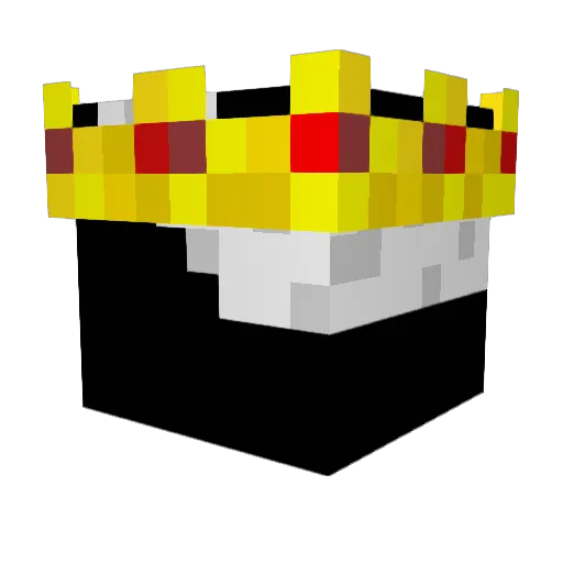 Mr_Coal123 Minecraft avatar head, 3D render