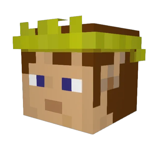 Mr_Coates Minecraft avatar head, 3D render