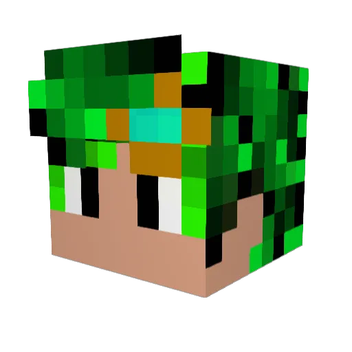 Mr_Cr3eper23 Minecraft avatar head, 3D render