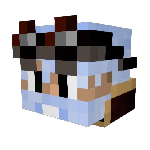 Mr_Crafter_ Minecraft avatar head, 3D render