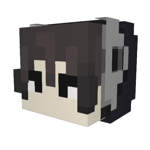 Mr_Doom12011 Minecraft avatar head, 3D render
