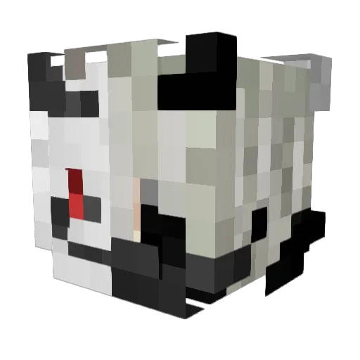Mr_Doomer Minecraft avatar head, 3D render