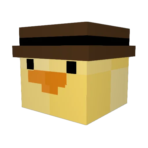 Mr_DuckMan7 Minecraft avatar head, 3D render
