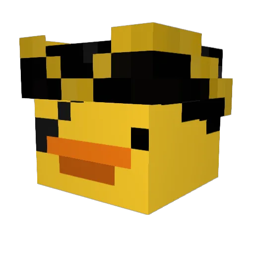 Mr_Ducky0 Minecraft avatar head, 3D render