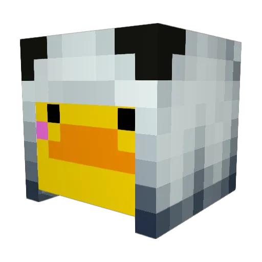 Mr_DuckyBoy Minecraft avatar head, 3D render
