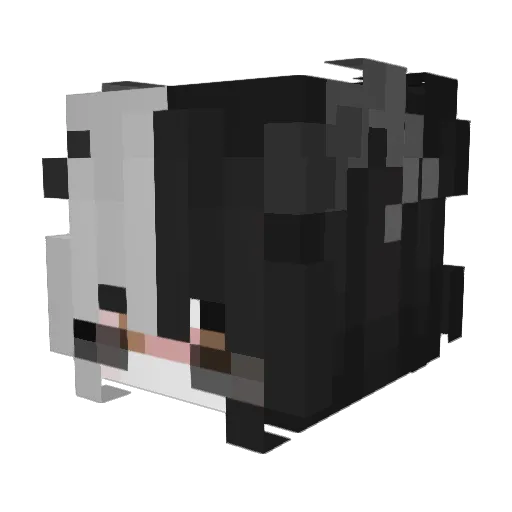 Mr_El_YT Minecraft avatar head, 3D render