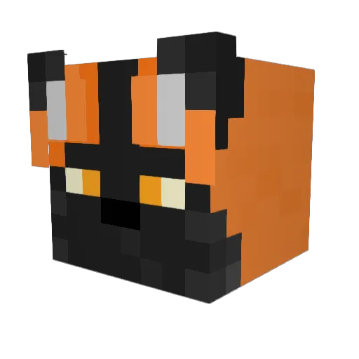Mr_FOXyK Minecraft avatar head, 3D render