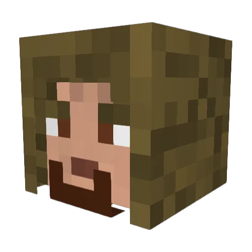 Mr_Fish69 Minecraft avatar head, 3D render