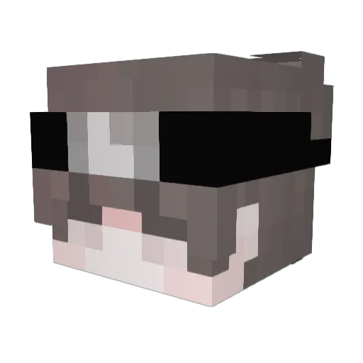 Mr_Fisj Minecraft avatar head, 3D render