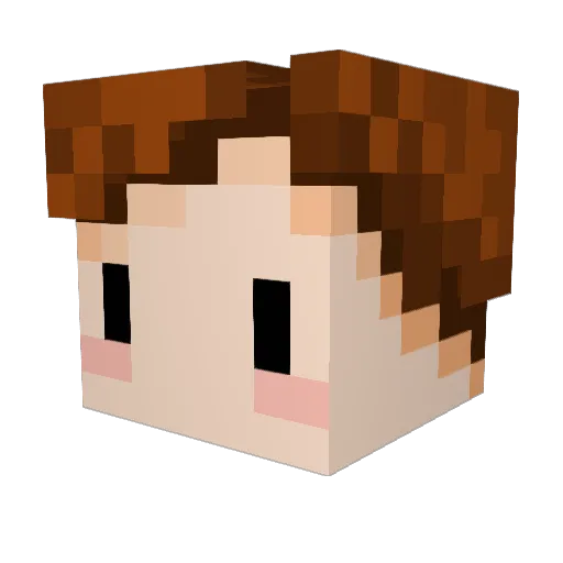 Mr_Fizz17 Minecraft avatar head, 3D render