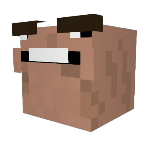 Mr_Fl4sher Minecraft avatar head, 3D render