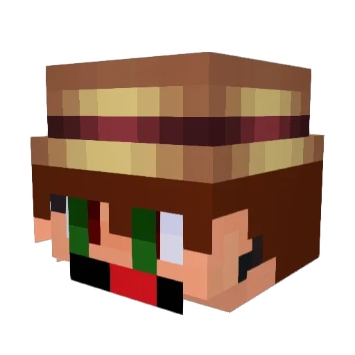 Mr_Flappy101 Minecraft avatar head, 3D render
