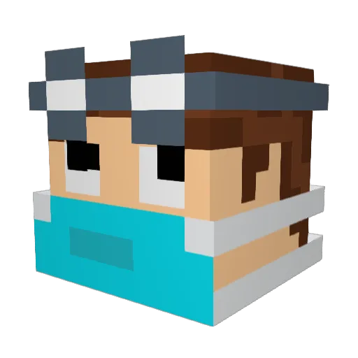 Mr_Flying_Mango Minecraft avatar head, 3D render