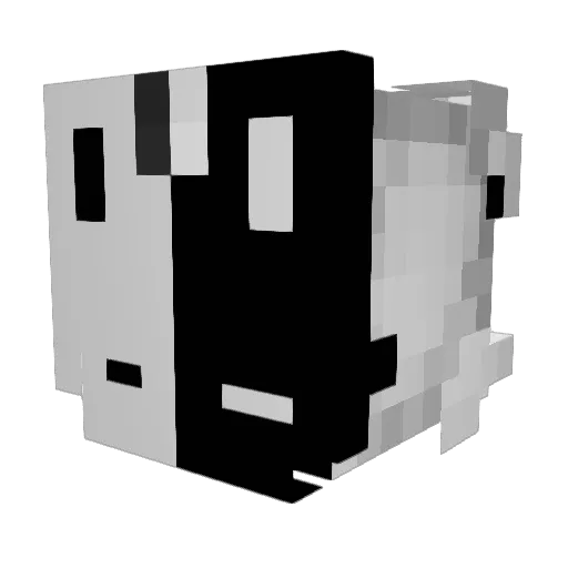 Mr_Foxy78 Minecraft avatar head, 3D render