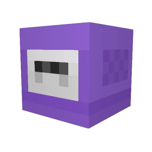 Mr_GameCube907 Minecraft avatar head, 3D render