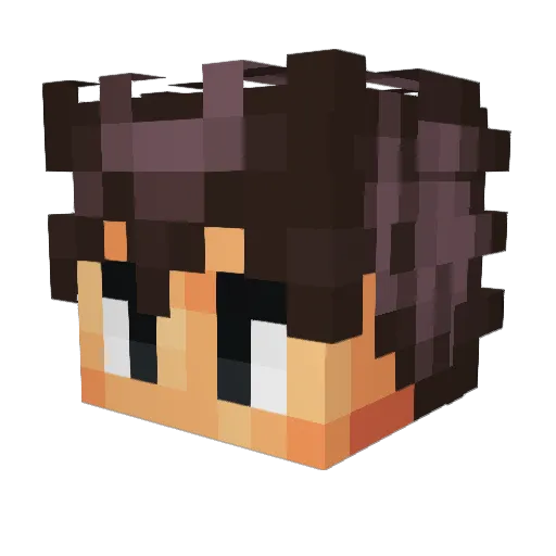 Mr_Gamer_Hoes Minecraft avatar head, 3D render