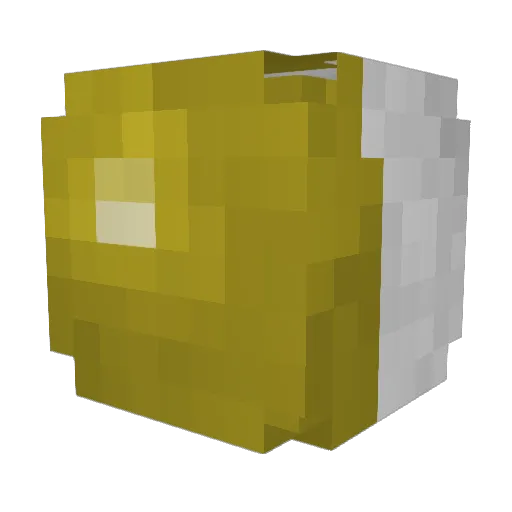 Mr_Go0dkat Minecraft avatar head, 3D render