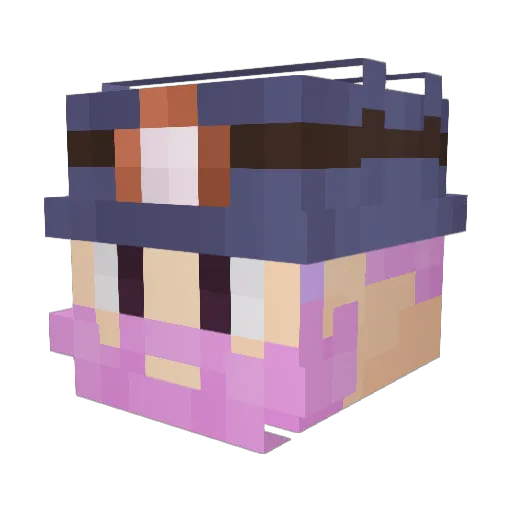 Mr_Goose2012 Minecraft avatar head, 3D render