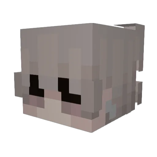 Mr_HSE_Royal Minecraft avatar head, 3D render