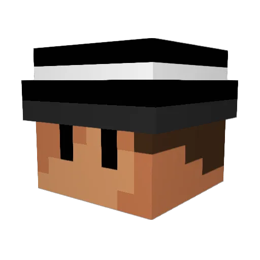 Mr_Hectas Minecraft avatar head, 3D render