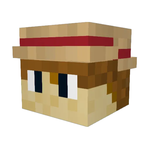 Mr_Howard_69 Minecraft avatar head, 3D render