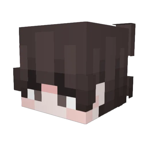 Mr_Ice_1029 Minecraft avatar head, 3D render