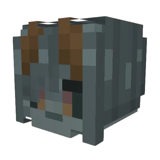 Mr_Imagination_ Minecraft avatar head, 3D render