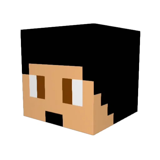 Mr_JT Minecraft avatar head, 3D render