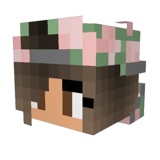 Mr_Jelly13 Minecraft avatar head, 3D render