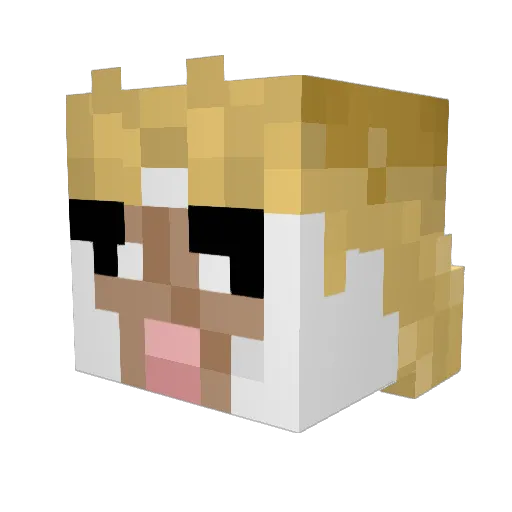Mr_Jelly Minecraft avatar head, 3D render