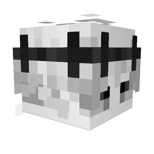 Mr_Johnnyy Minecraft avatar head, 3D render