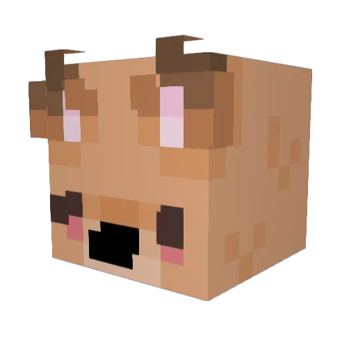 Mr_Jojo_ Minecraft avatar head, 3D render