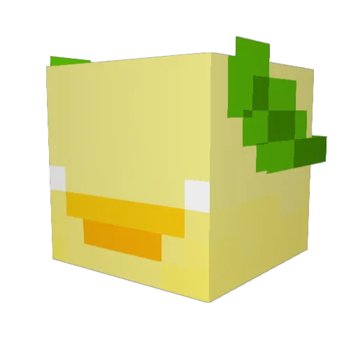 Mr_Jojo_ms Minecraft avatar head, 3D render