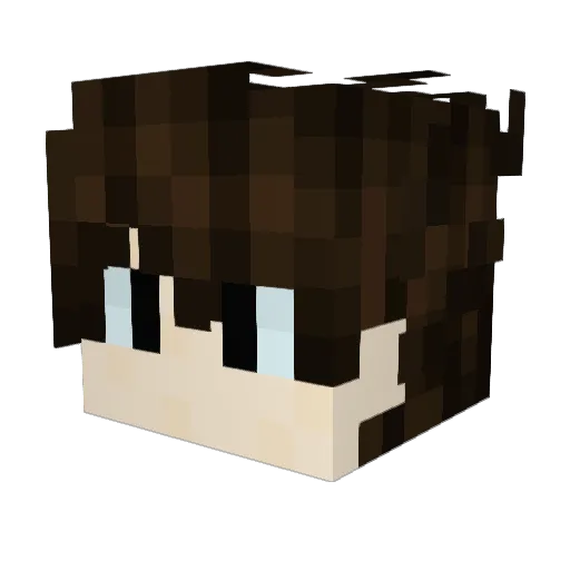 Mr_Kater Minecraft avatar head, 3D render