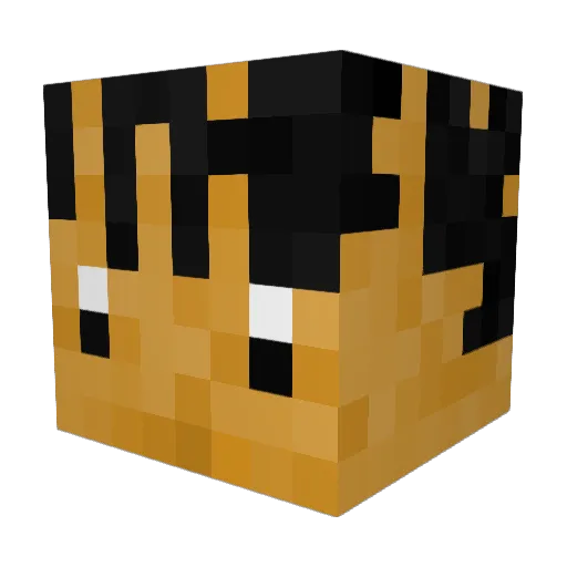 Mr_Kegman Minecraft avatar head, 3D render