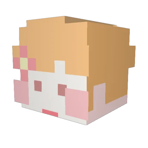 Mr_Kiri Minecraft avatar head, 3D render
