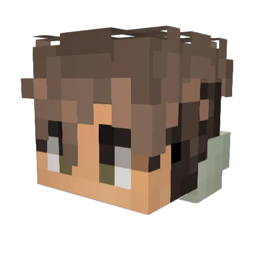 Mr_KnxckBack Minecraft avatar head, 3D render