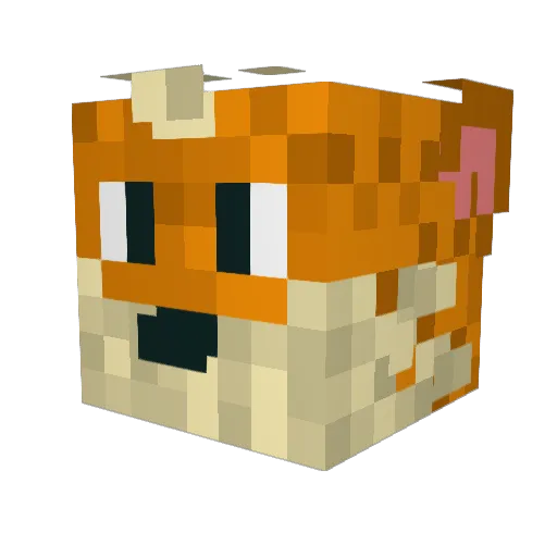 Mr_Koyeko Minecraft avatar head, 3D render