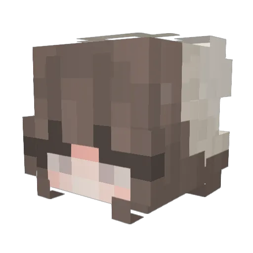 Mr_Larry_Sir Minecraft avatar head, 3D render